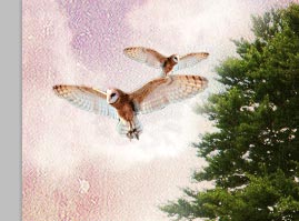 https://tempha.ir/img/tuts/Create-a-Nature-Inspired-Photo-Manipulation/Step13-owl2.jpg